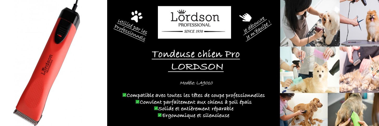 Tondeuse chien pro LORDSON